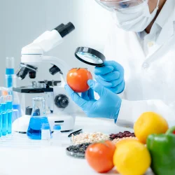 Food Additives